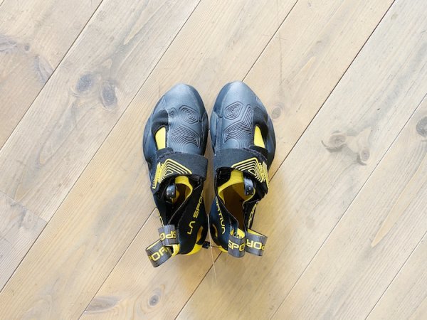画像2: THEORY / LA SPORTIVA (2)