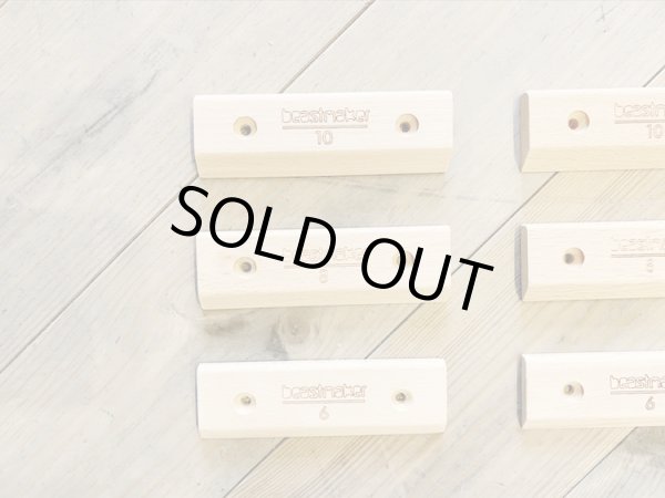 画像2: micros / beastmaker (2)